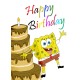 Birthday Greeting Card