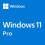 WINDOWS 11 PRO.